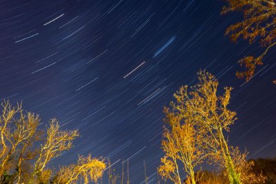 Хороскоп за седмицата 28 септември - 4 октомври 2026: Венера ретроградна, нови шансове и изпитания за 12-те зодии