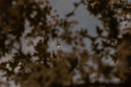 Месечен хороскоп за октомври 2026: Венера ретроградна, Меркурий обратно и какво носи есента на всяка зодия