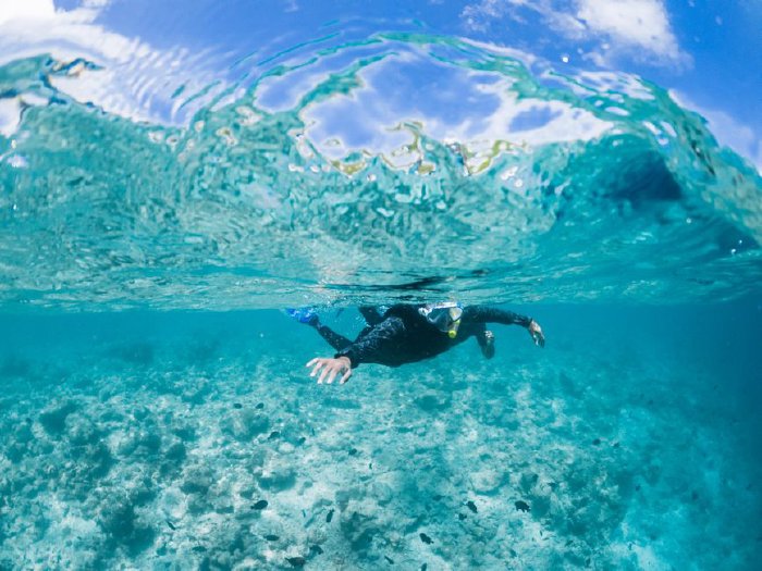 Подводен свят и снорклинг в кристално чисти води