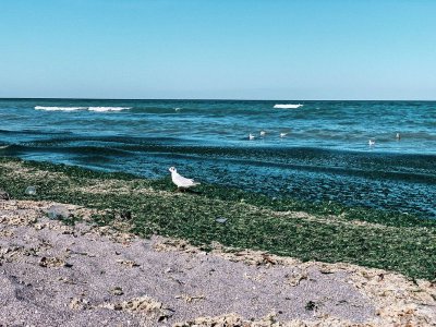 5 диви плажа в България, за които се стига само пеша