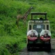 Сафари паркове и зоопаркове в Европа: 5 семейни дестинации, близо до България