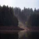 Тихият туризъм: защо все повече хора пътуват, за да чуят тишината