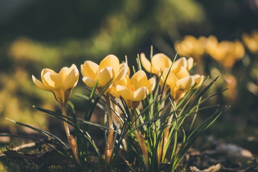 Зелен уикенд: 6 места в България, където пролетта се усеща най-силно