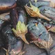 Защо патладжанът заслужава повече място в чинията ти