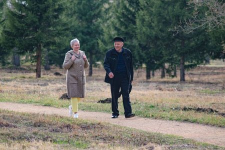 Болест на витрините: как ходенето лекува болката в краката при периферна артериална болест