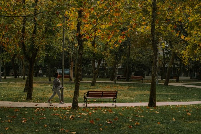 Жена се разхожда в парка през есента