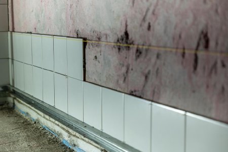 Мухъл в дома: опасен ли е за здравето и какво да направите